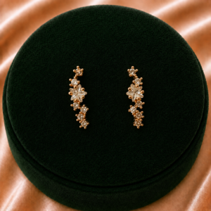C.Z.Earrings For Women and Girls